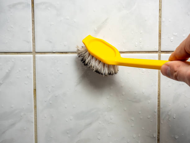 Best DIY Mold Remediation Support Services in Springtown, TX